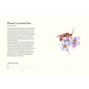 The Bee Spotter's Guide