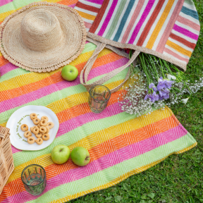 National Trust Refresher Stripe Waterproof Backed Picnic Blanket