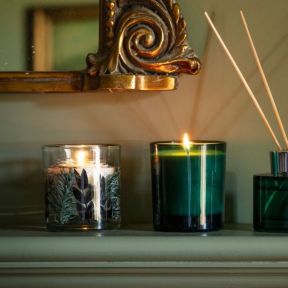 National Trust Gel Candle Blue Spruce and Frosted Pine