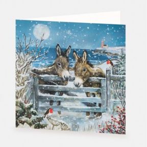 National Trust Donkeys Christmas Cards Box of 10