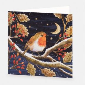 National Trust Moonlit Robin Christmas Cards Box of 10