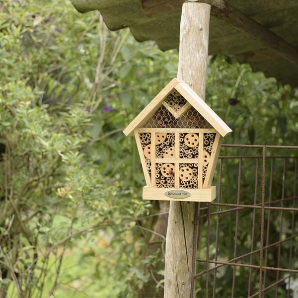 CJ Wildlife Apex Insect House | National Trust Shop