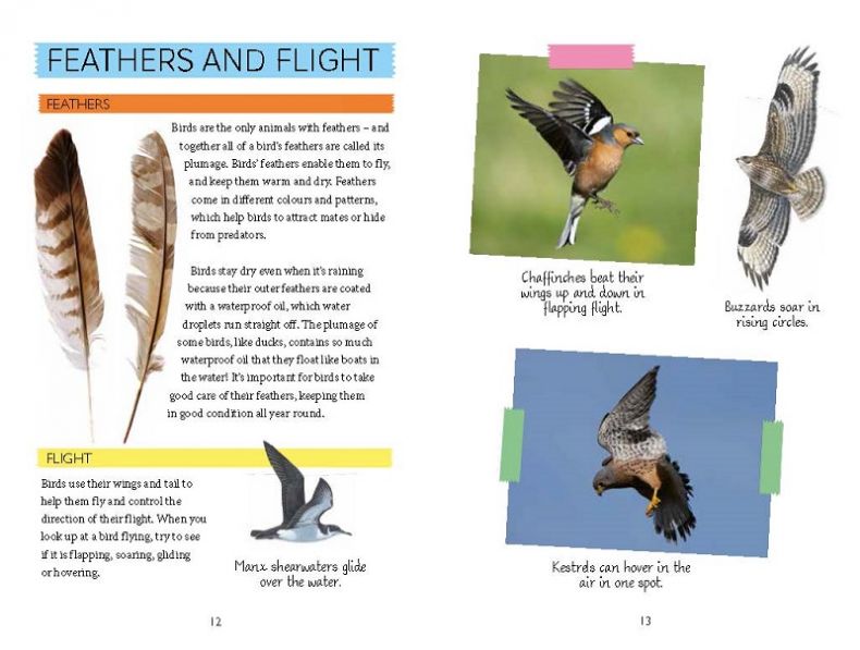 Out and About Bird Spotter