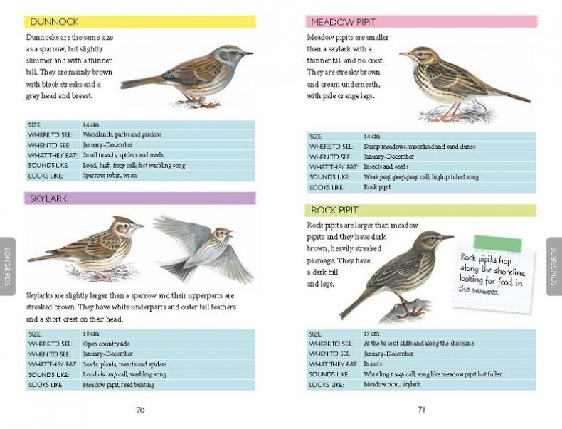 Out and About Bird Spotter