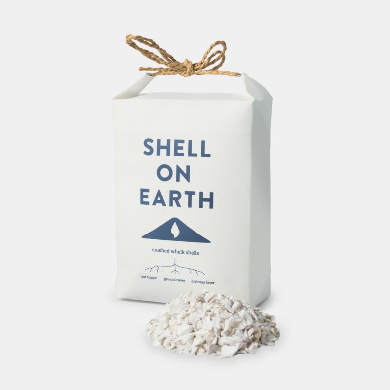 Shell on Earth Crushed Whelk Shells