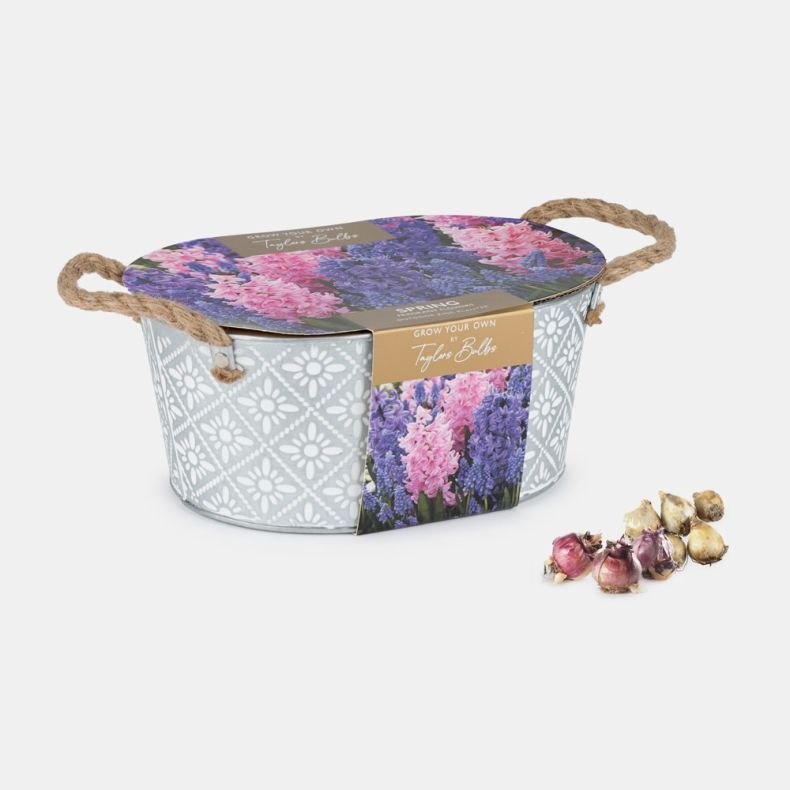 Indoor windowsill flower growing gift set displayed against a light background, featuring three terracotta plant pots decorated with a white ornamental tile-inspired pattern. The pots are presented in a cardboard sleeve with cut-out windows that reveal ea