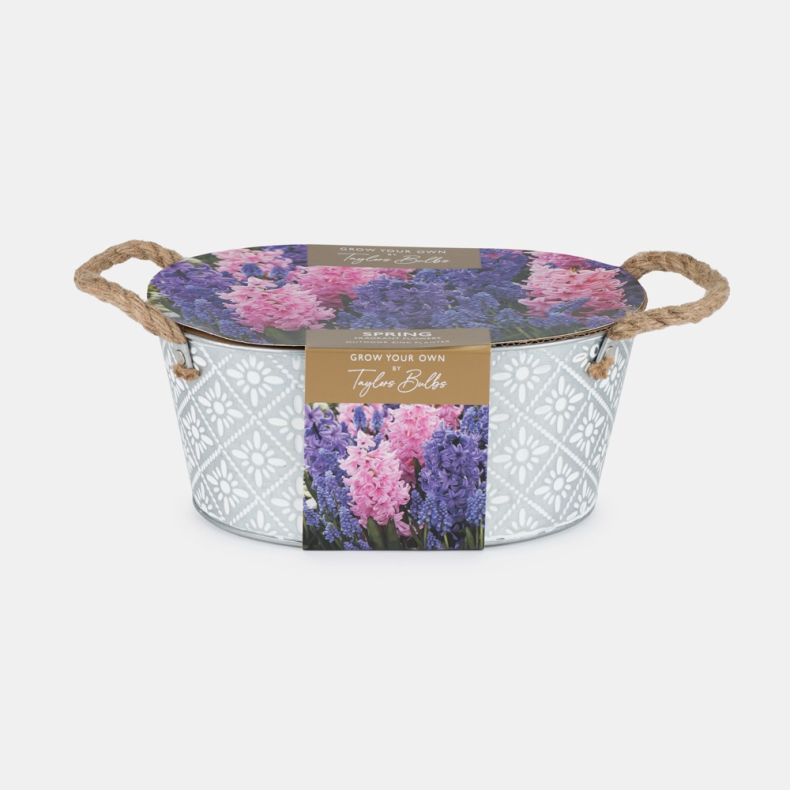 Grow Your Own Spring Taylor's Bulbs gift set displayed against a light background, featuring an oval galvanised metal planter decorated with a white floral tile-inspired pattern and fitted with thick rope carry handles on each side. The planter is wrapped