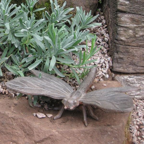 Cast Iron Dragonfly Sculpture