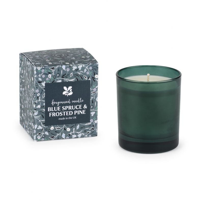 National Trust Boxed Candle Blue Spruce and Frosted Pine