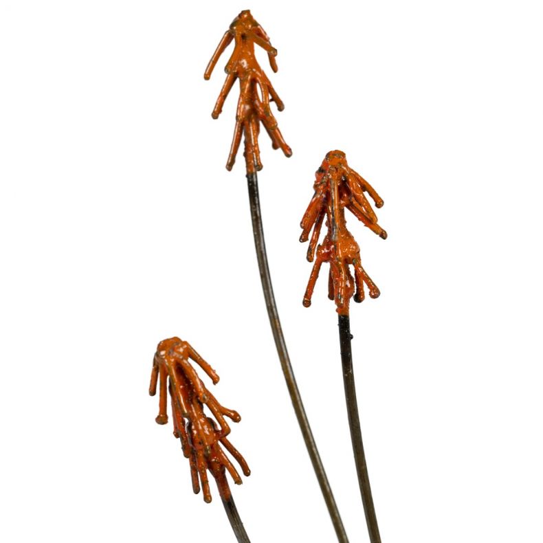 Aloe Plant Sculpture