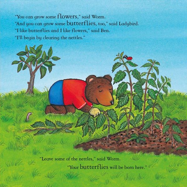 Ben Plants a Butterfly Garden Hardback