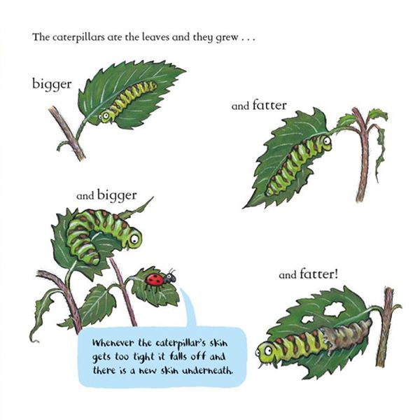 Ben Plants a Butterfly Garden Hardback