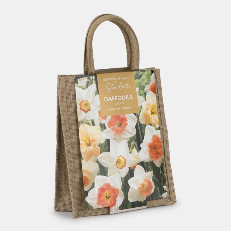 Jute Gift Bag, Daffodil Mix