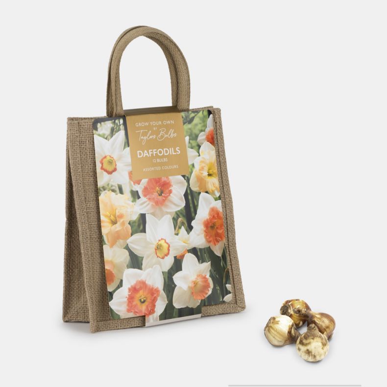 Jute Gift Bag, Daffodil Mix