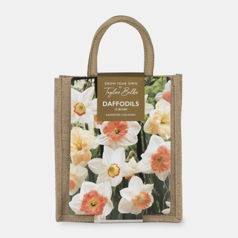 Jute Gift Bag, Daffodil Mix