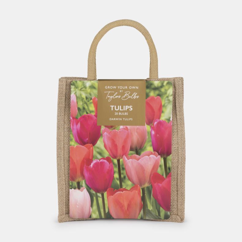Grow Your Own Tulips gift bag by Taylors Bulbs, containing 20 Darwin tulip bulbs. The reusable jute-style bag features a vibrant photograph of pink and coral tulips in bloom and sturdy woven handles for carrying.