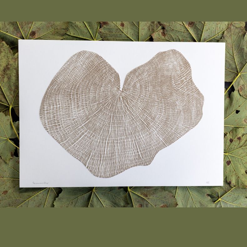 Shona Branigan Original Sycamore Gap Print, Gold Medium