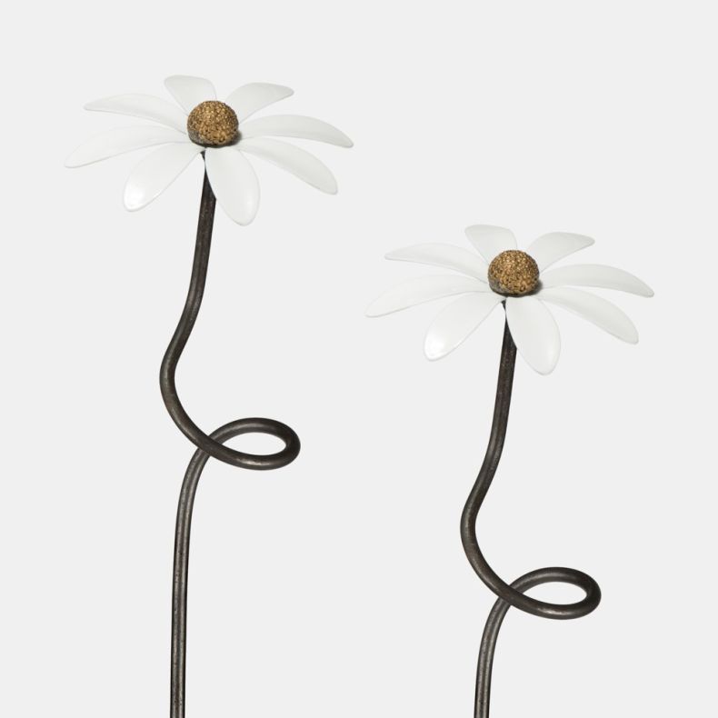Paul Cox White Daisy Plant Stake, Set of 2