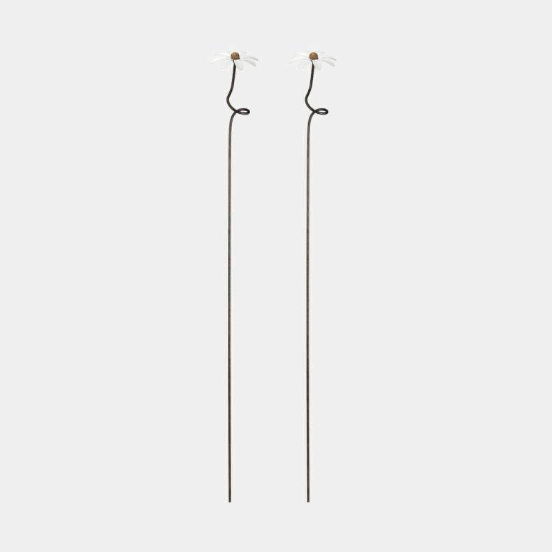 Paul Cox White Daisy Plant Stake, Set of 2