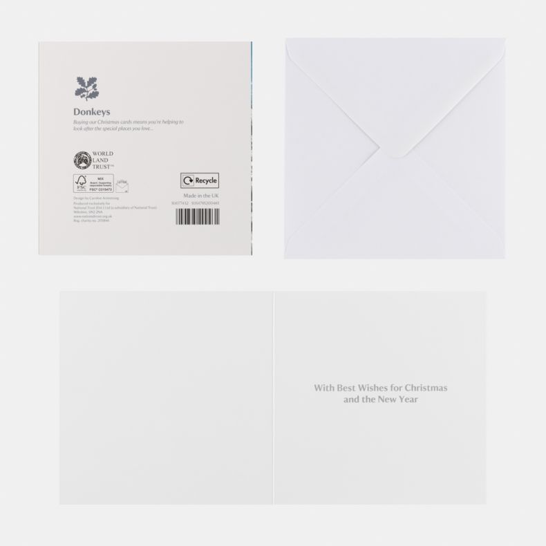 National Trust Donkeys Christmas Cards Box of 10