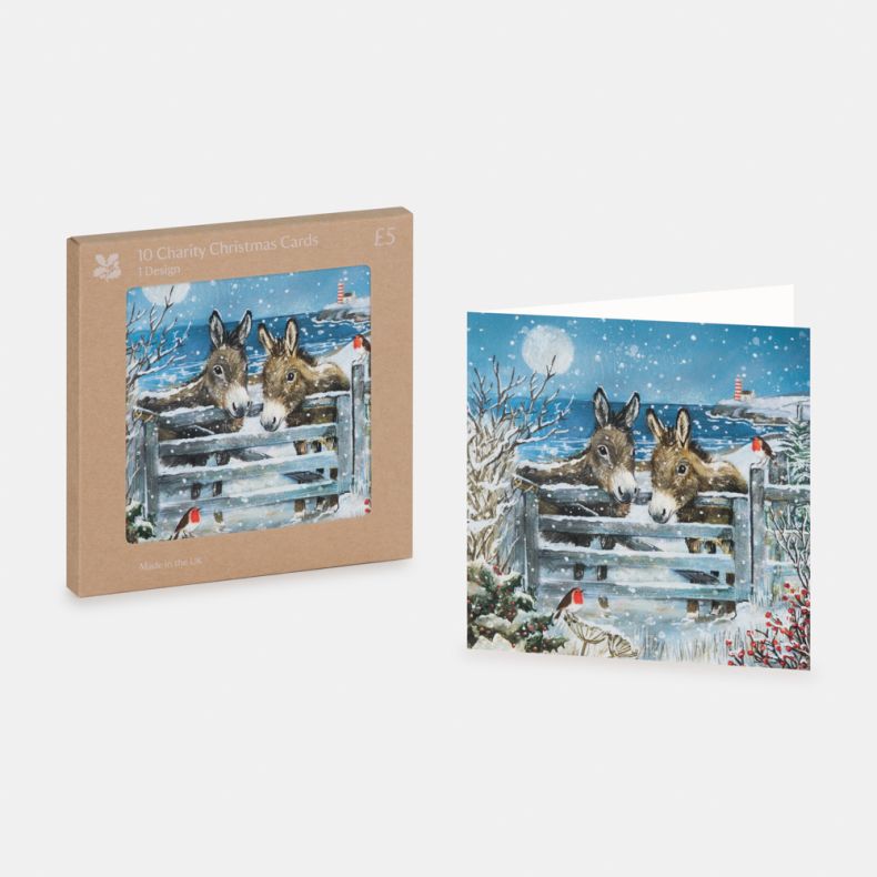 National Trust Donkeys Christmas Cards Box of 10