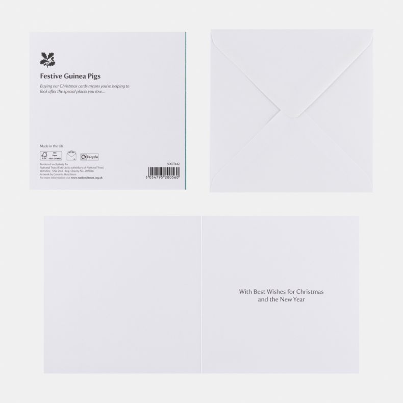 National Trust Festive Guinea Pigs Christmas Cards Box of 10