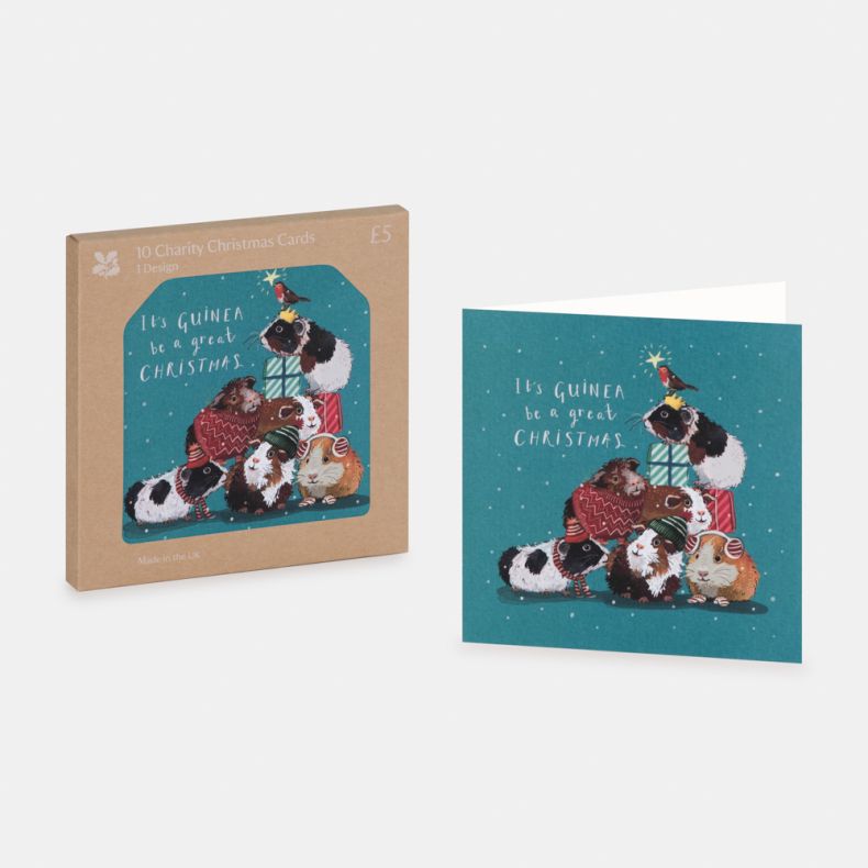 National Trust Festive Guinea Pigs Christmas Cards Box of 10