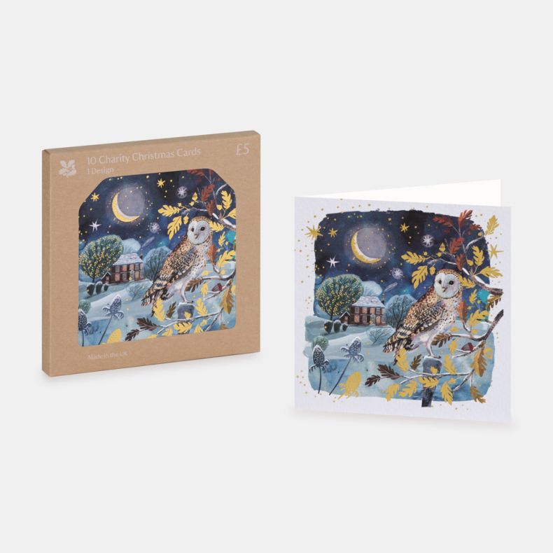 National Trust Moonlit Owl Christmas Card Box of 10