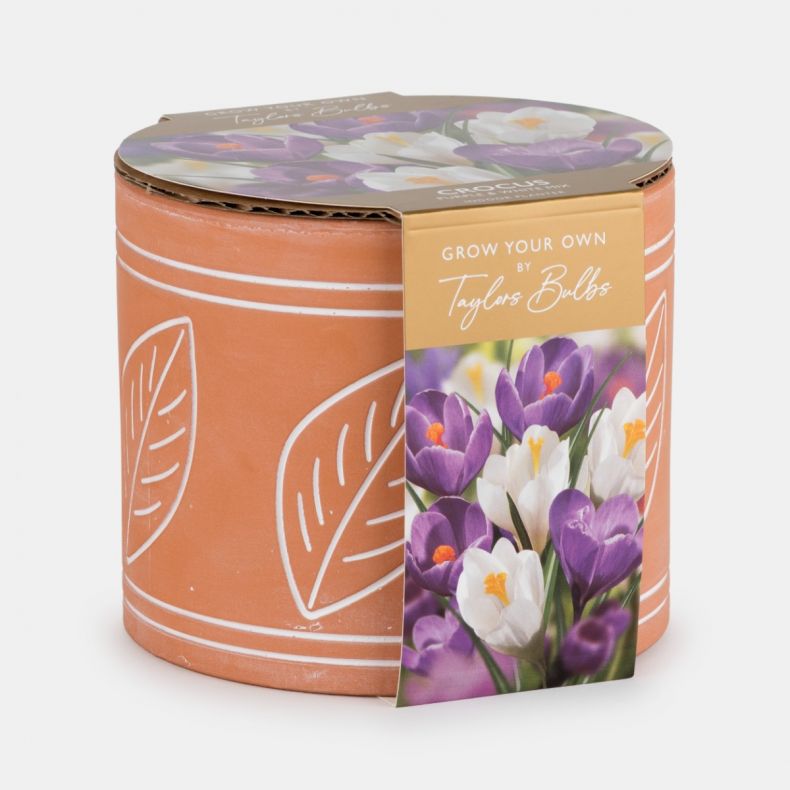 Indoor Planter Leaf Terracotta, Crocus