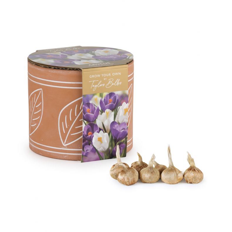 Indoor Planter Leaf Terracotta, Crocus