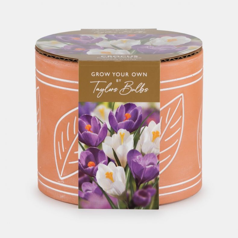 Indoor Planter Leaf Terracotta, Crocus