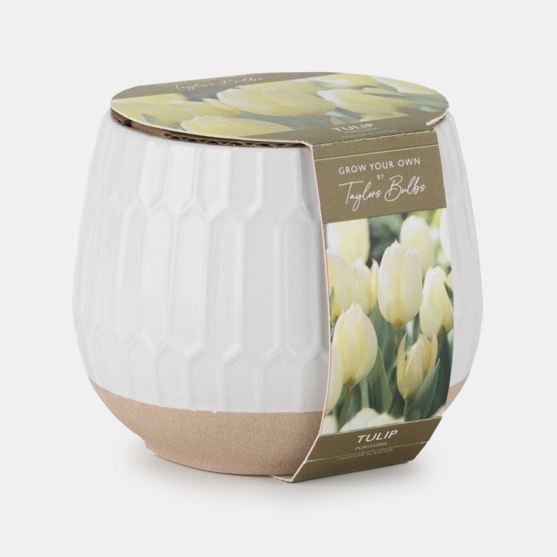 Indoor Ceramic Planter, Tulips