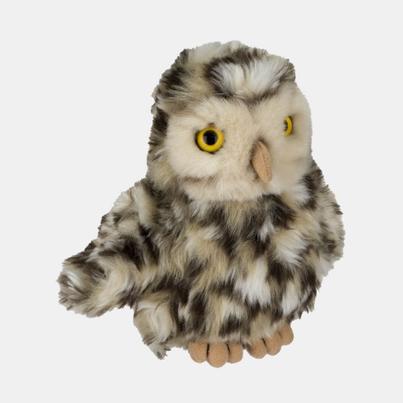Living Nature Little Owl
