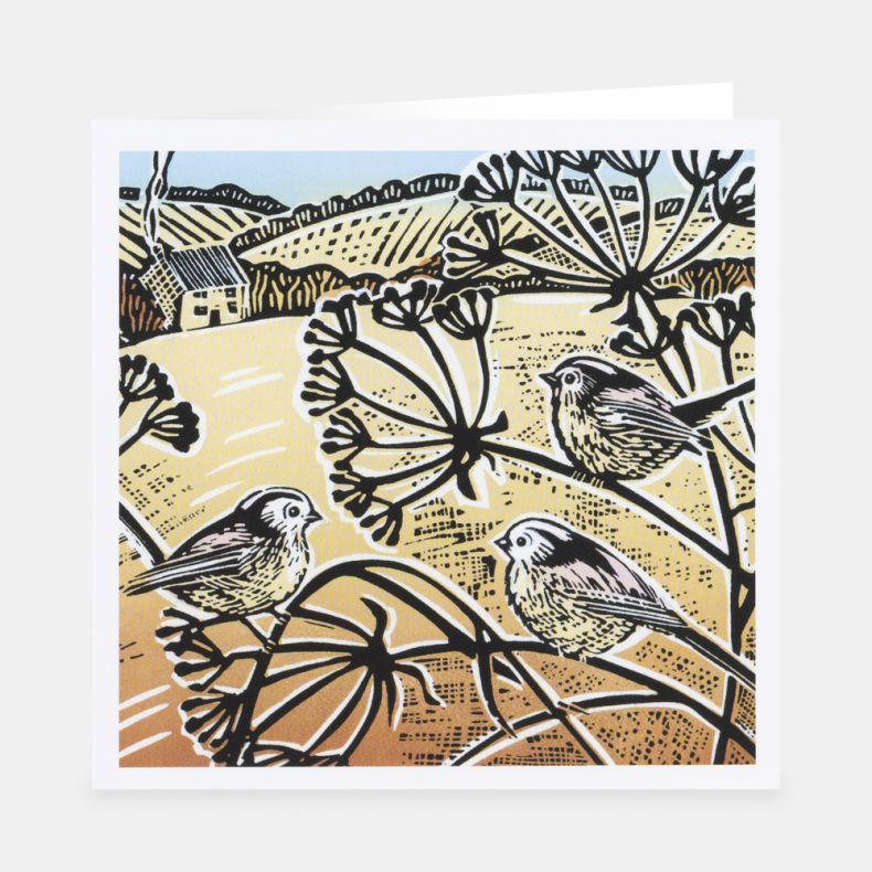 National Trust In the Fields Notecards Set by Denise Coble, Pack of 20