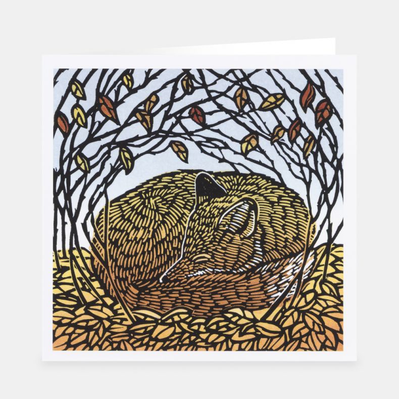 National Trust In the Fields Notecards Set by Denise Coble, Pack of 20