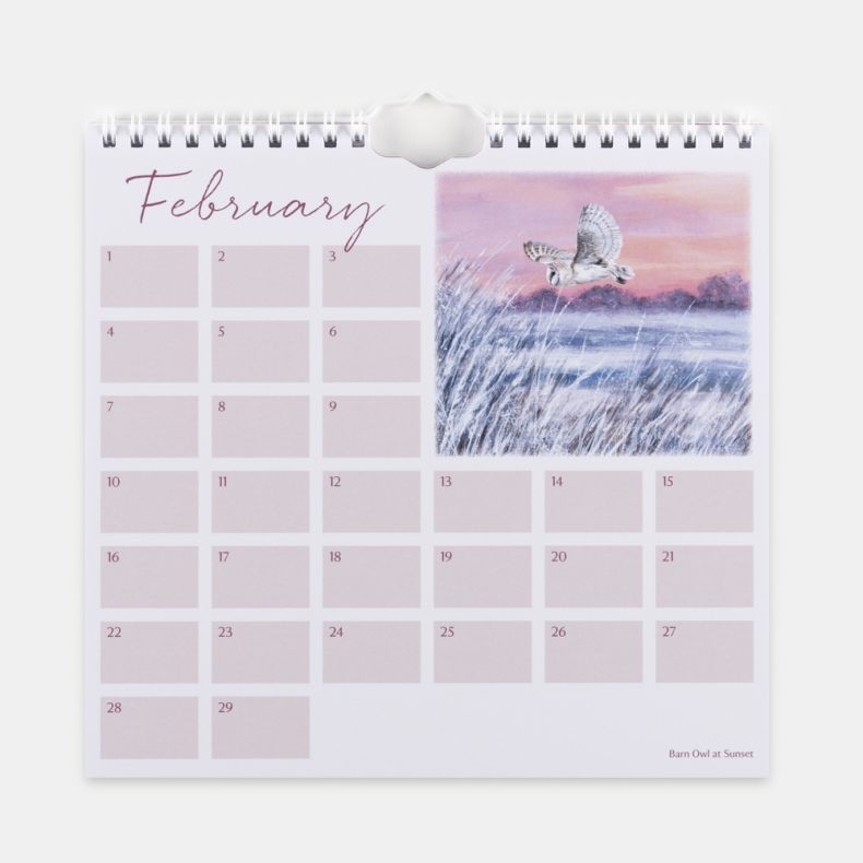 National Trust Birthday and Occasions Calendar by Lucy Grossmith