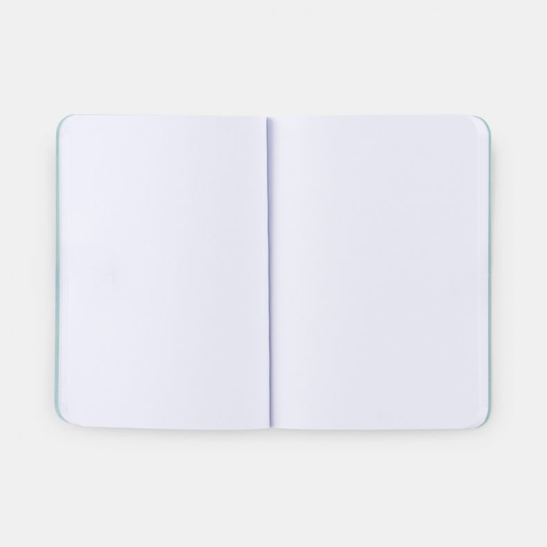 National Trust Winter Owl Notebook, A6