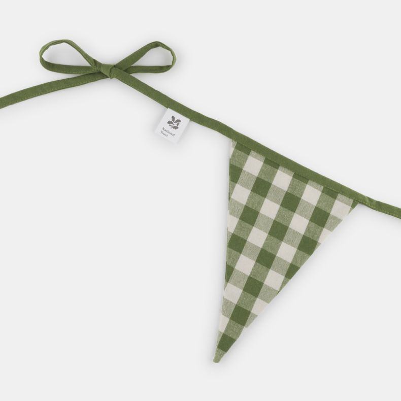 National Trust Fern Bunting