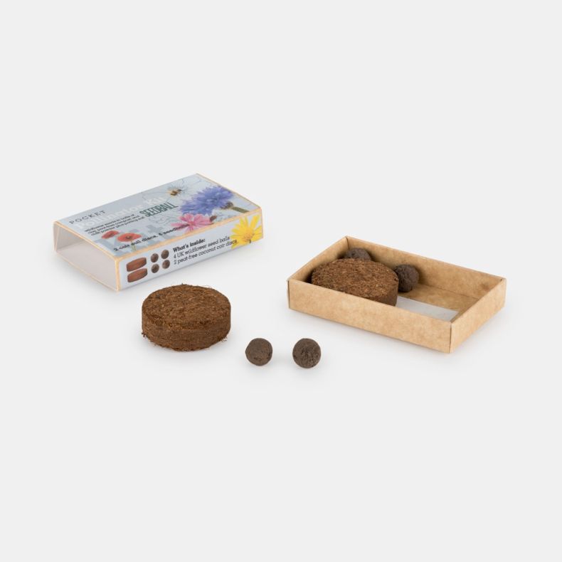 Seedball Pocket Pollinator Kit