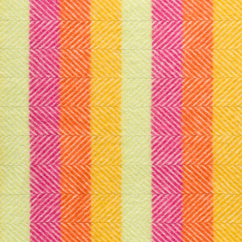 National Trust Rainbow Brights Waterproof Backed Picnic Blanket