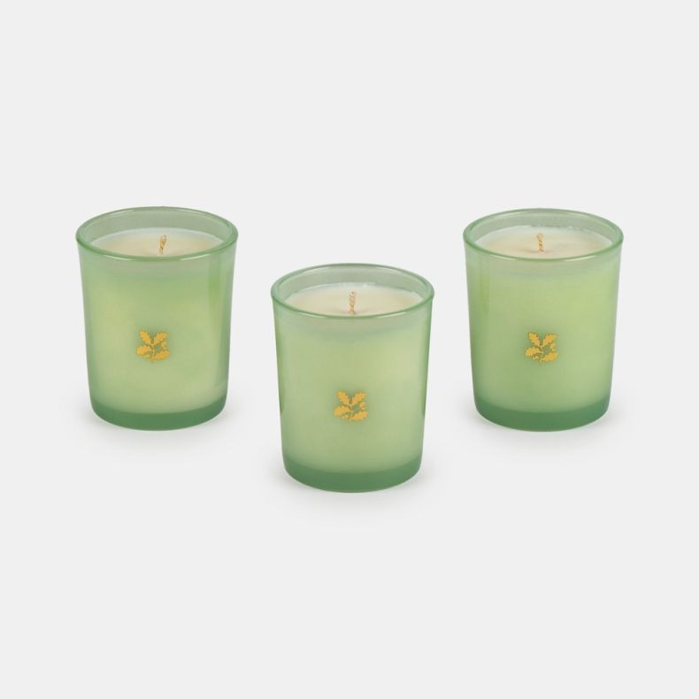 National Trust Boxed Candle Gift Set, Blossom