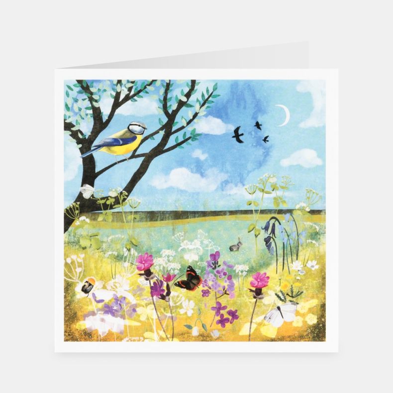 National Trust Wildflower Way Notecard Set by Jaqueline Wild, Pack of 20