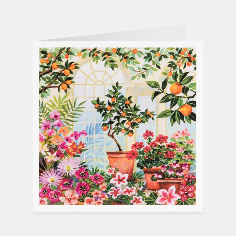 National Trust Glorious Greenhouse Notecard Set by Lucy Grossmith, Pack of 20