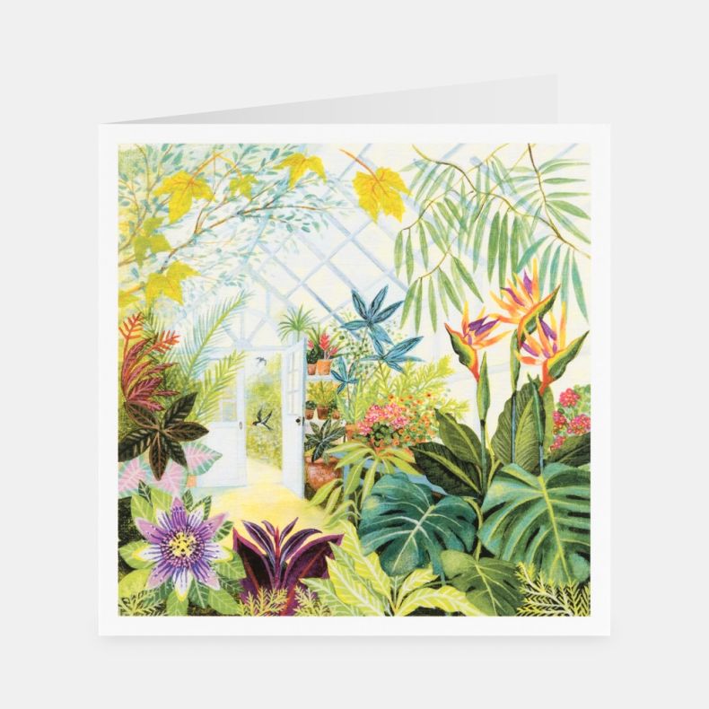 National Trust Glorious Greenhouse Notecard Set by Lucy Grossmith, Pack of 20