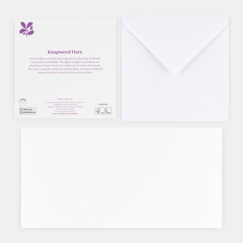 National Trust Fern and Foliage Notecard Set by Kate Findlay, Pack of 20