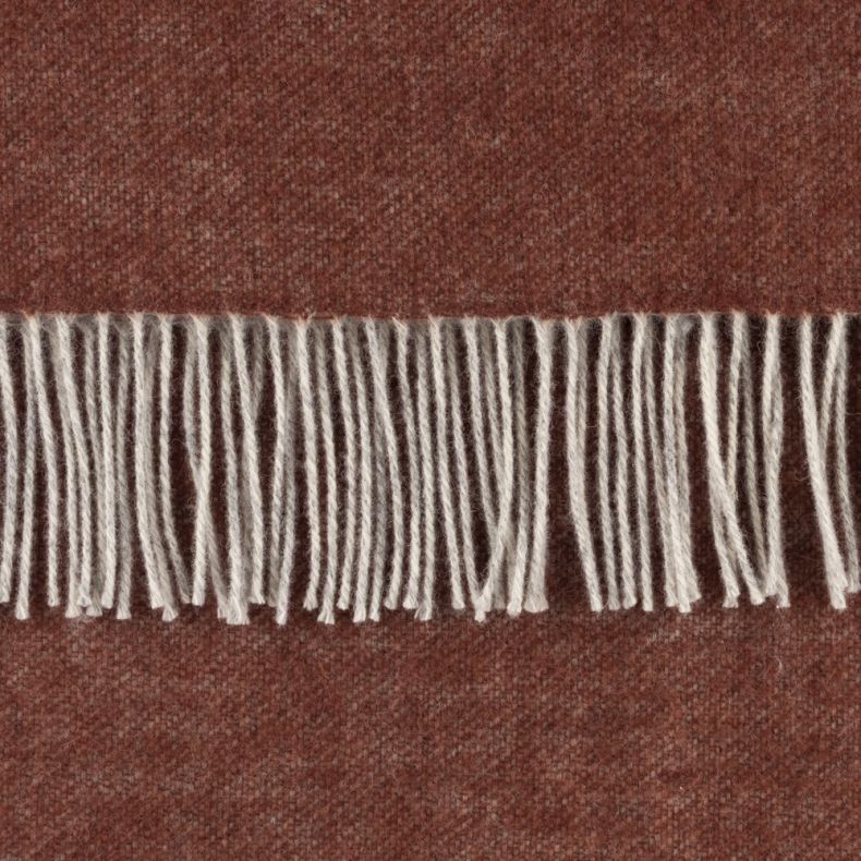 Close-up of a soft rust-orange throw blanket with a finely woven texture and contrasting cream tassel fringe. The cosy fabric showcases a subtle mottled finish, while the decorative fringe adds warmth, texture and classic styling.