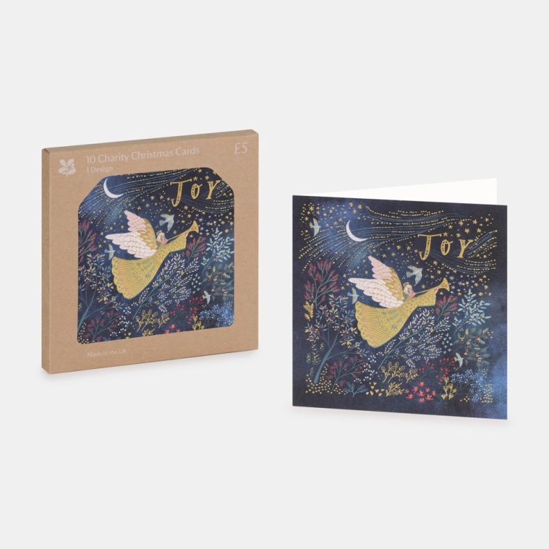 National Trust Joy Christmas Cards Box of 10