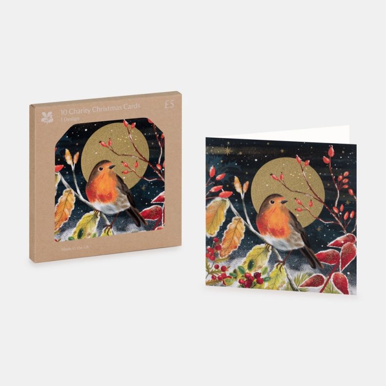 National Trust Winter Robin Christmas Cards Box of 10