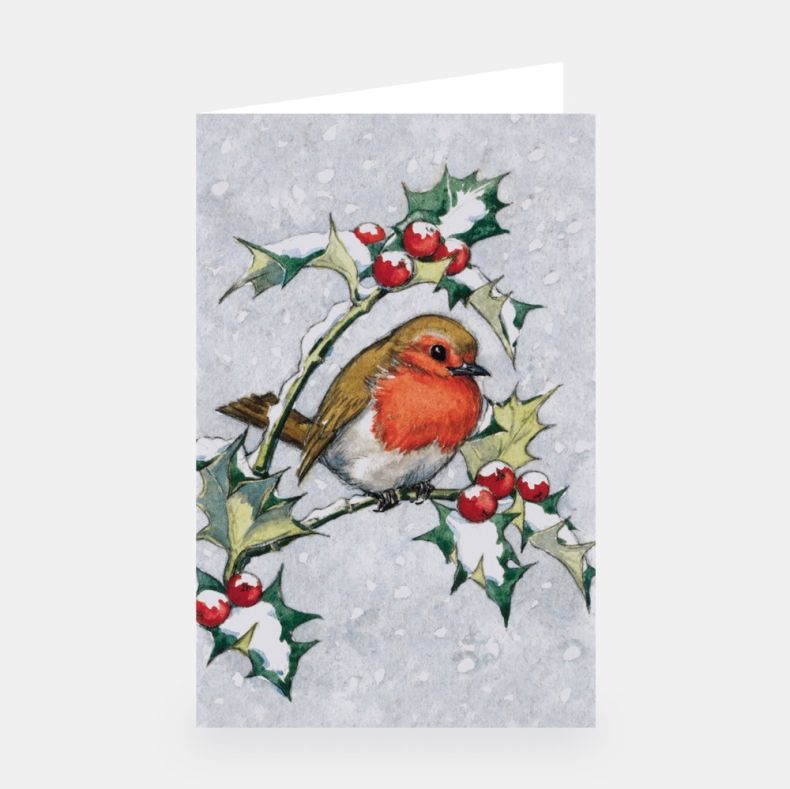 National Trust Illustrated Christmas Cards Value Pack of 20