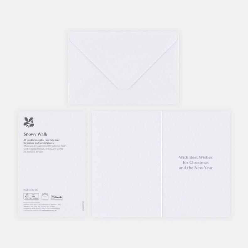 National Trust Illustrated Christmas Cards Value Pack of 20